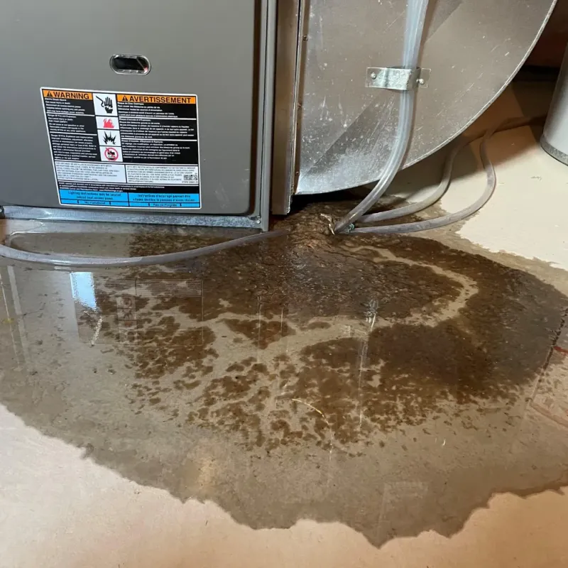 Appliance Leak Cleanup in Nevada County, AR